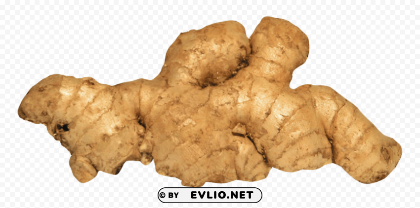 ginger Transparent PNG graphics library