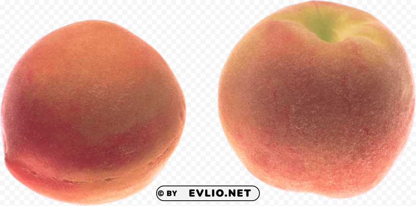 Peach Clear Background PNG Images Diverse Assortment