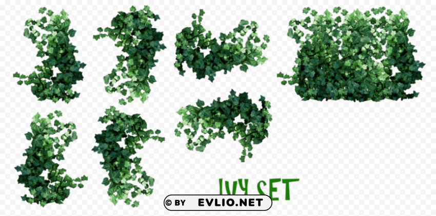 PNG image of plants download PNG clear background with a clear background - Image ID a3f32fda