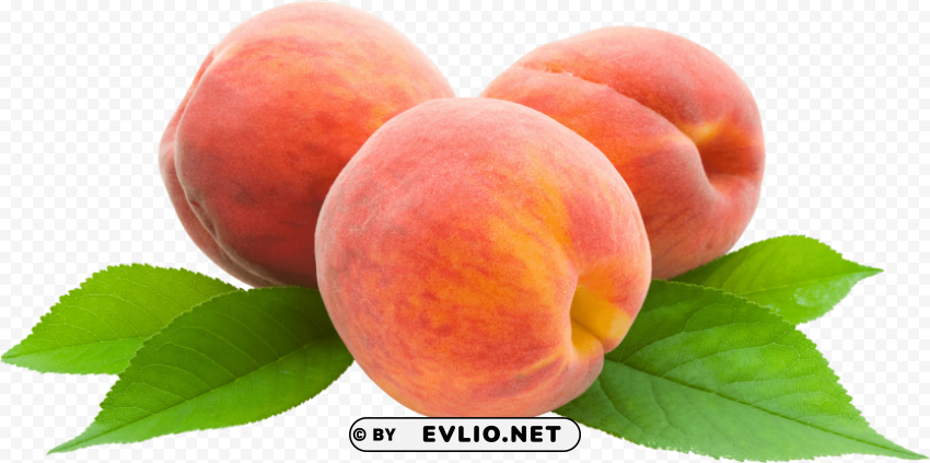 peach PNG download free