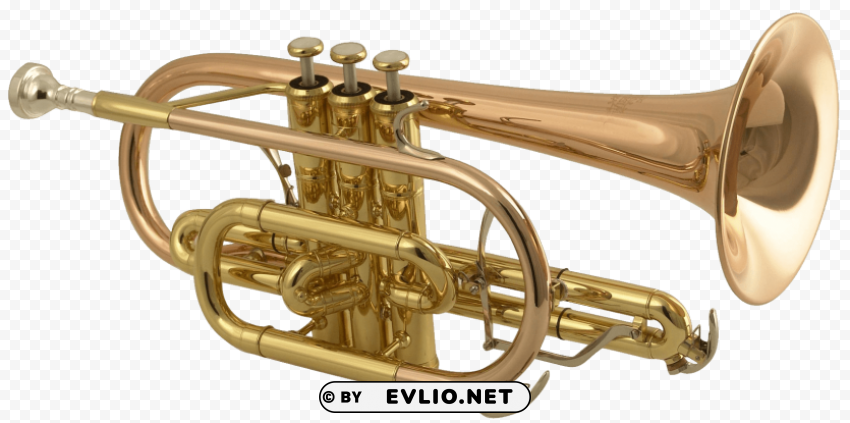 trumpet Isolated Element in HighQuality PNG