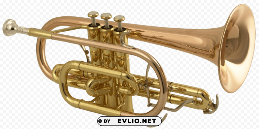 Transparent Background PNG of trumpet Isolated Element in HighQuality PNG - Image ID 6ff5a9e1