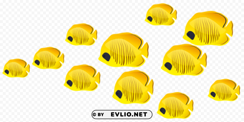 Fishes Isolated Design In Transparent Background PNG