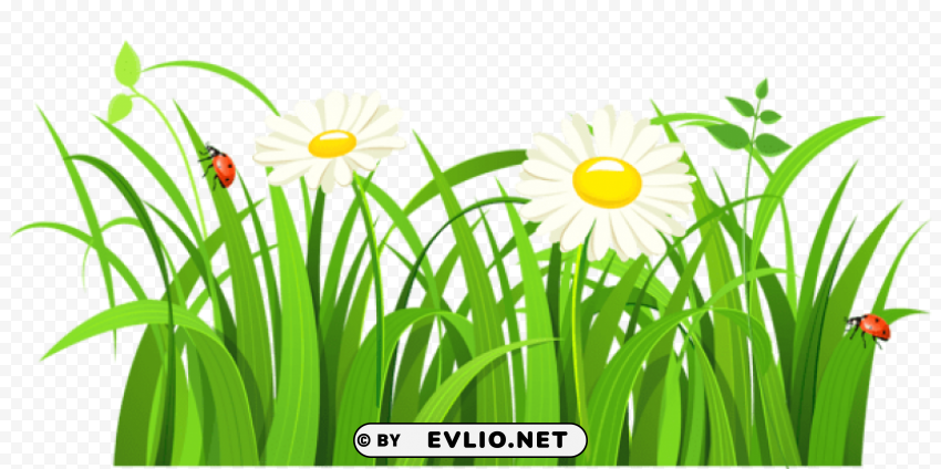 grass with daisies and lady bugs Isolated Design Element in PNG Format