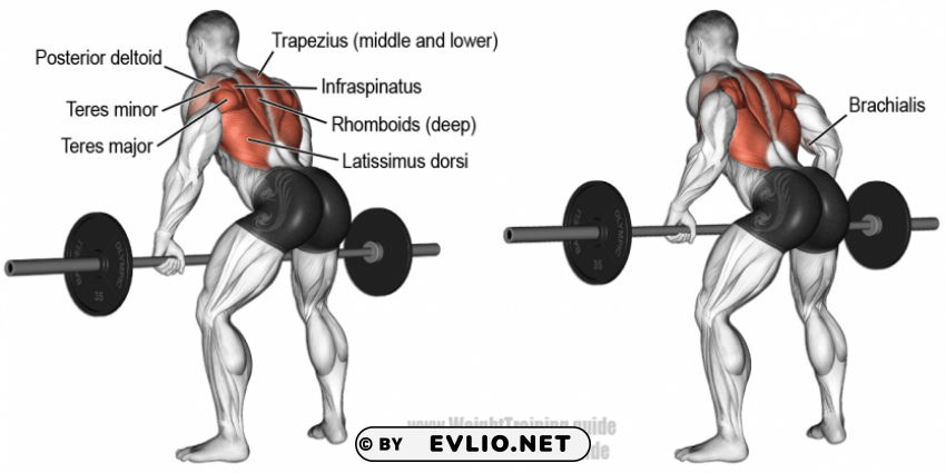 bent barbell Transparent PNG graphics complete archive