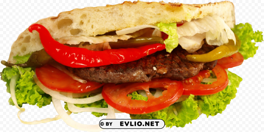 burger oriental Isolated Subject in HighResolution PNG