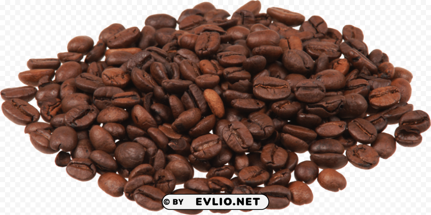 coffee beans Isolated Character on HighResolution PNG