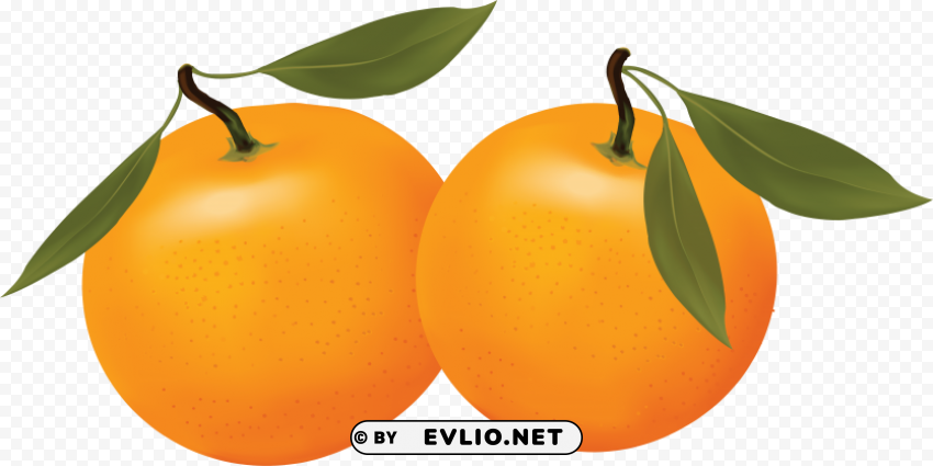 orange oranges Isolated Design on Clear Transparent PNG