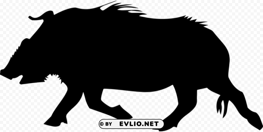 boar Isolated Graphic with Transparent Background PNG