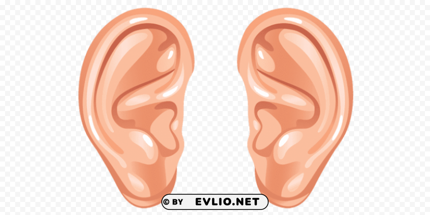 cartoon ears Transparent PNG images set clipart png photo - c28c894d