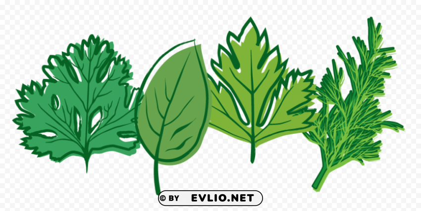PNG image of herb Transparent PNG images pack with a clear background - Image ID f839e82b