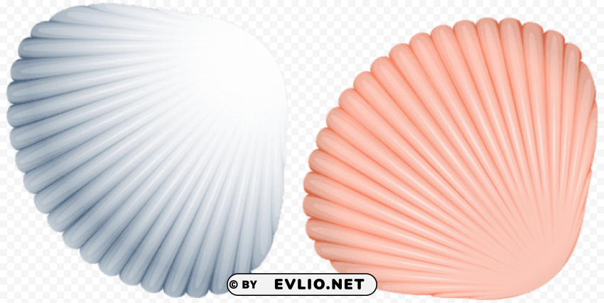 Sea Shells PNG Transparent Photos Mega Collection