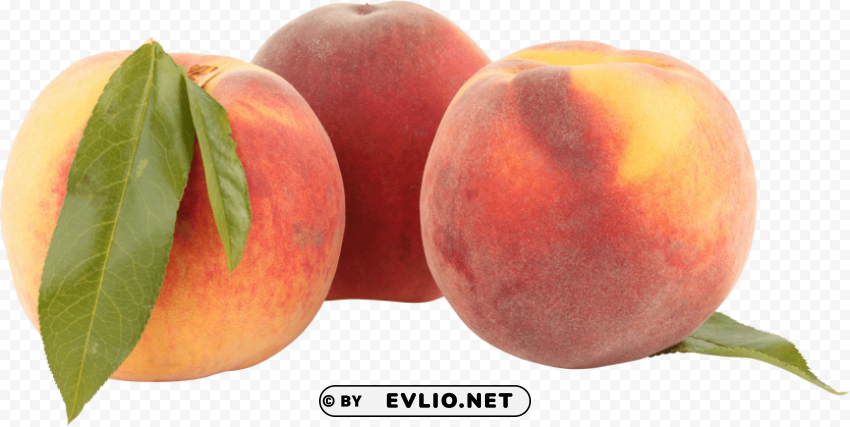 peach PNG clipart with transparent background