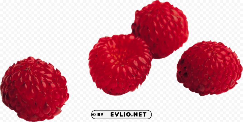 raspberry PNG Image Isolated on Transparent Backdrop