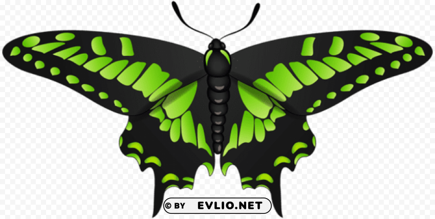 butterfly green black PNG images with transparent canvas compilation