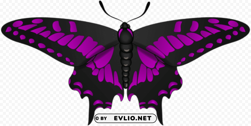 butterfly purple black PNG images with no background assortment clipart png photo - 9a07ad68