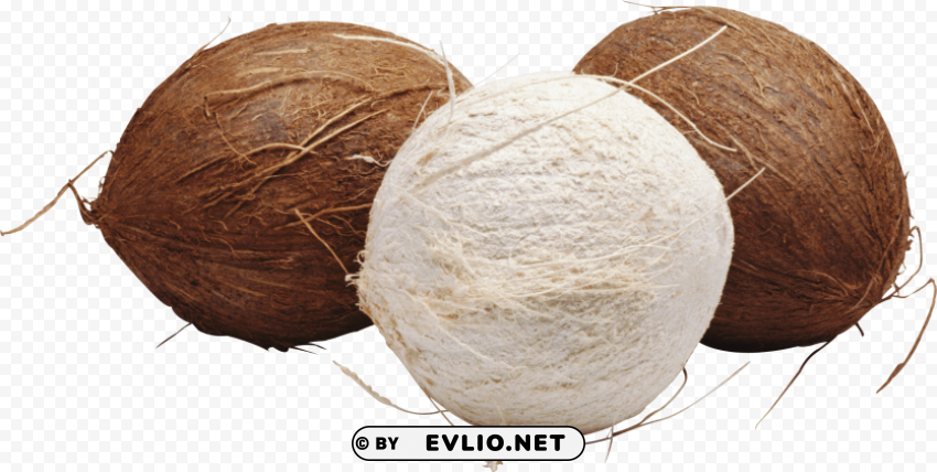 coconut Transparent PNG download