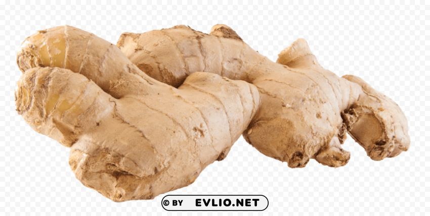 ginger Transparent picture PNG