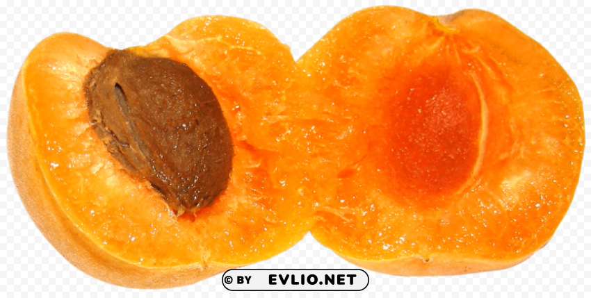 Apricot PNG images with no background comprehensive set