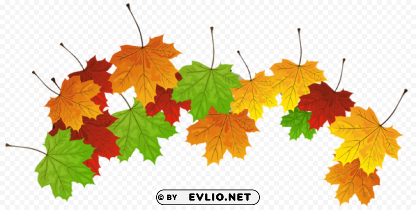 fall leaves Transparent background PNG stock
