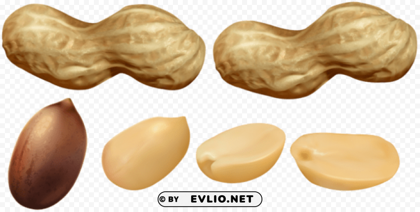 peanuts PNG Isolated Illustration with Clarity