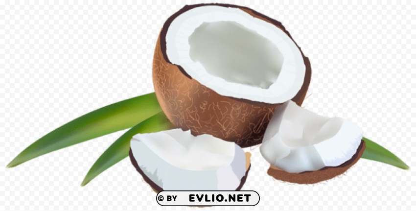 coconut with leaves Clear PNG graphics