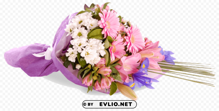 congratulation flower Free PNG images with alpha channel set
