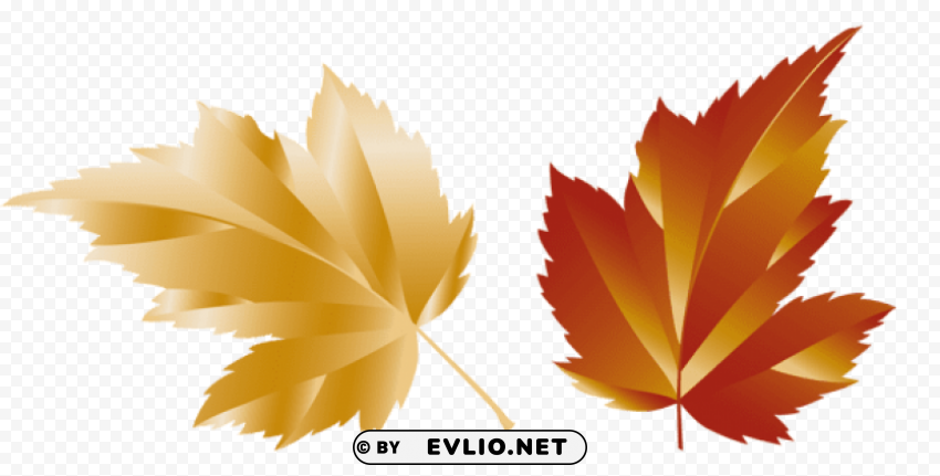 fall leaf picture High-resolution transparent PNG images variety