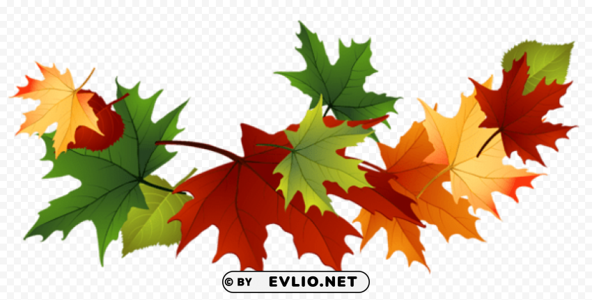 Fall Transparent Leaves PNG Images With Clear Alpha Layer