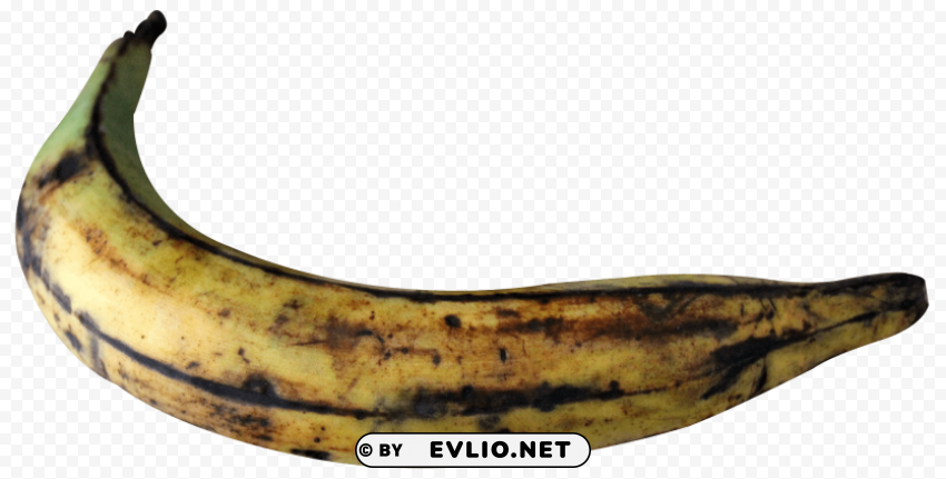 plantain Transparent PNG graphics bulk assortment