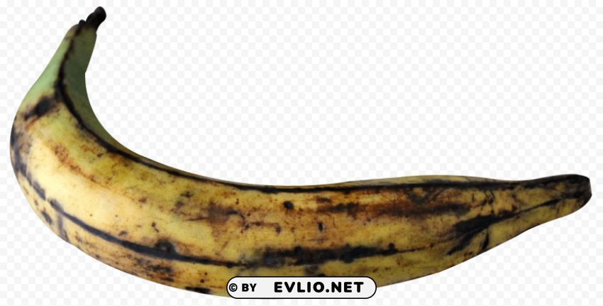 Plantain Banana High-resolution PNG images with transparency