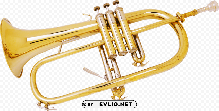 trumpet Isolated Element on HighQuality PNG