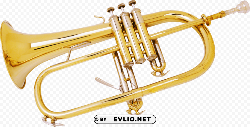 Transparent Background PNG of trumpet Isolated Element on HighQuality PNG - Image ID 66140ac8