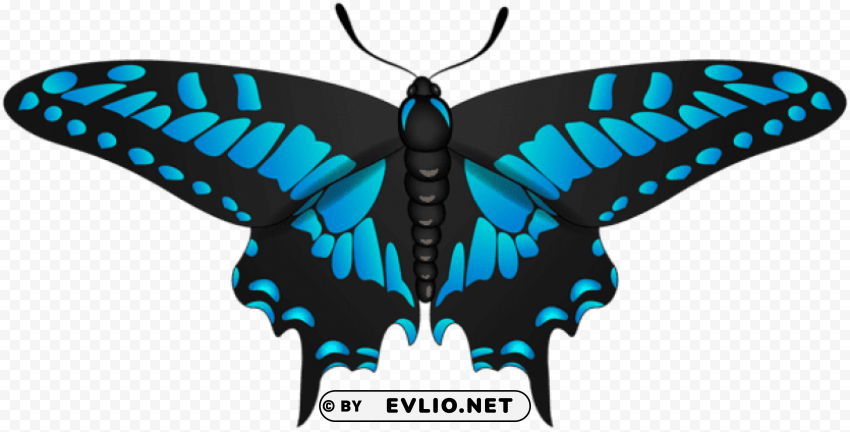 butterfly blue black PNG images with no royalties