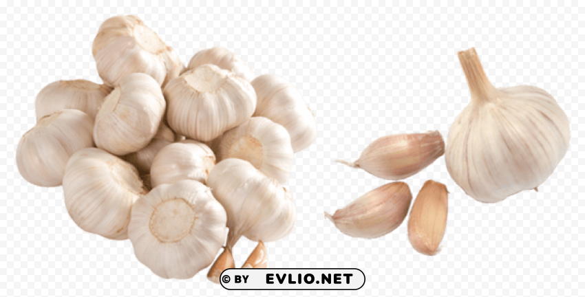 garlic Clear PNG images free download