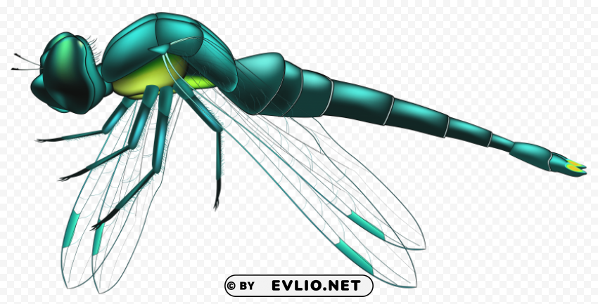 dragonfly blue PNG Graphic with Isolated Design