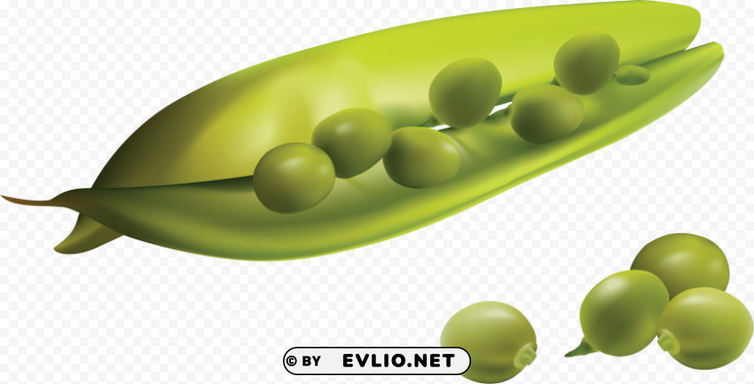 pea Isolated Subject on HighResolution Transparent PNG