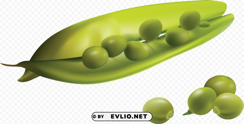 pea Isolated Subject on HighResolution Transparent PNG clipart png photo - e5d43131