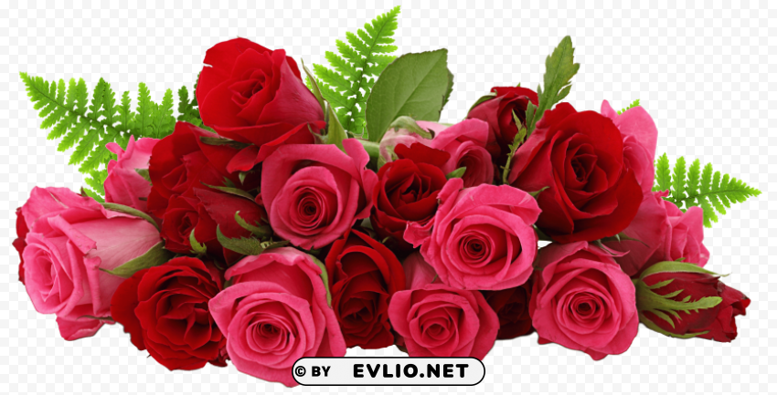 PNG image of rose Clean Background Isolated PNG Graphic Detail with a clear background - Image ID 6b842b44