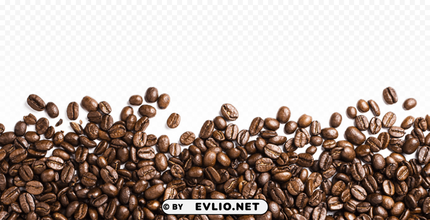 coffee beans Isolated Element on HighQuality PNG