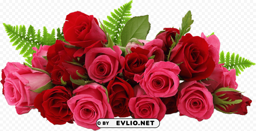 rosehd PNG pics with alpha channel PNG transparent with Clear Background ID 866752d5