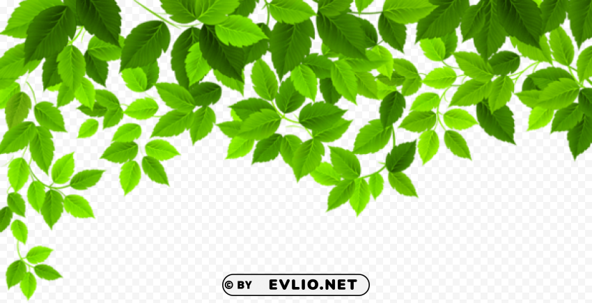 Spring Leaves Decoration Transparent PNG Illustrations