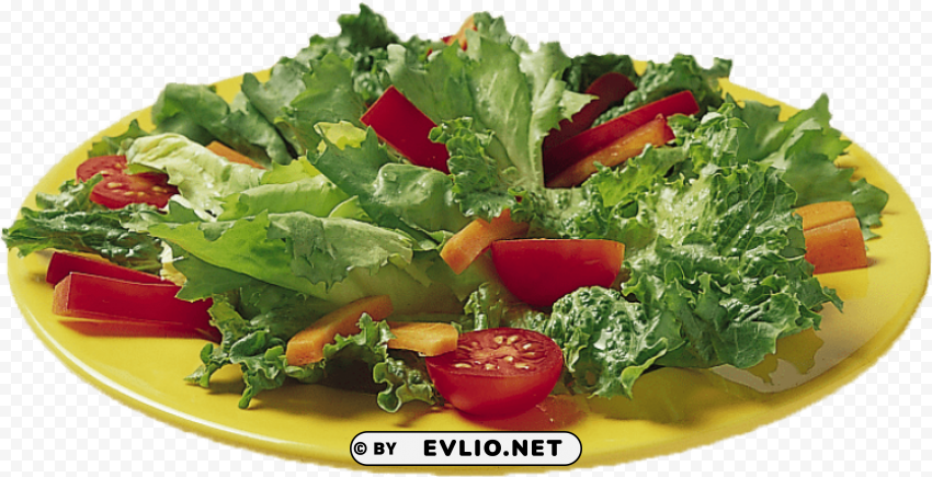 vegetable salad PNG transparent elements package