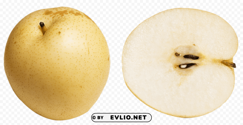 Asian Pear Isolated Item on Clear Background PNG