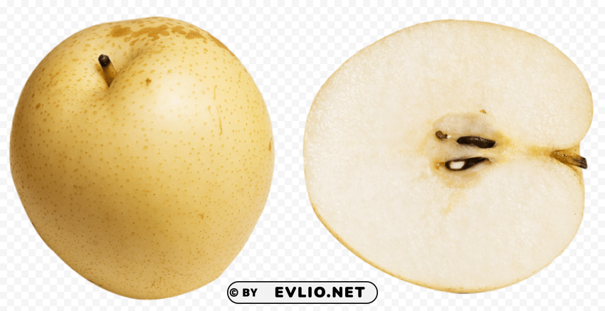 asian pear slice Isolated PNG Item in HighResolution
