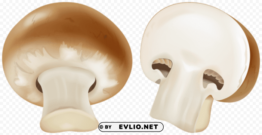 brown mushroom Transparent Background Isolated PNG Item