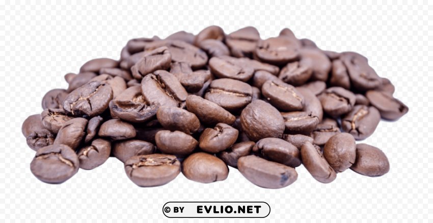 coffee bean Isolated Artwork in Transparent PNG