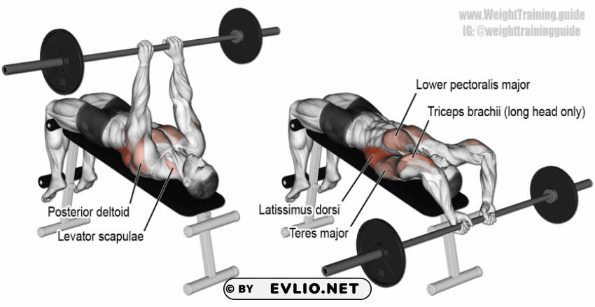 bent barbell Free PNG images with alpha transparency compilation