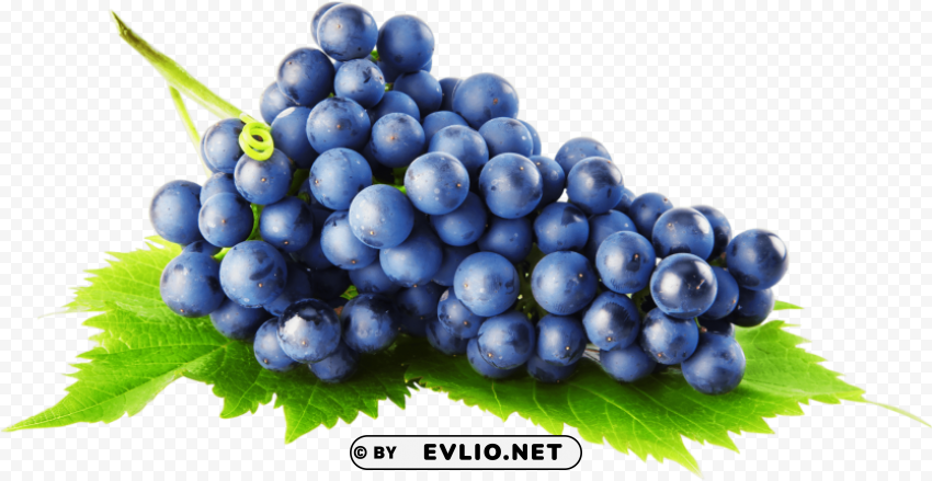 grapes Isolated Design on Clear Transparent PNG