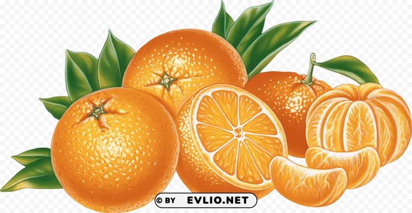 Orange Vector Isolated Design Element In Transparent PNG